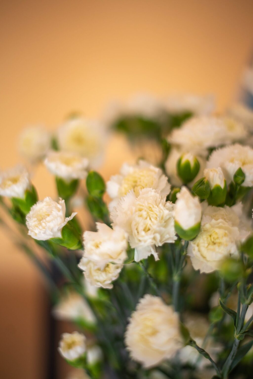 Stara cynkownia Czechowice (17) Dworek stara cynkownia Czechowice-Dziedzice