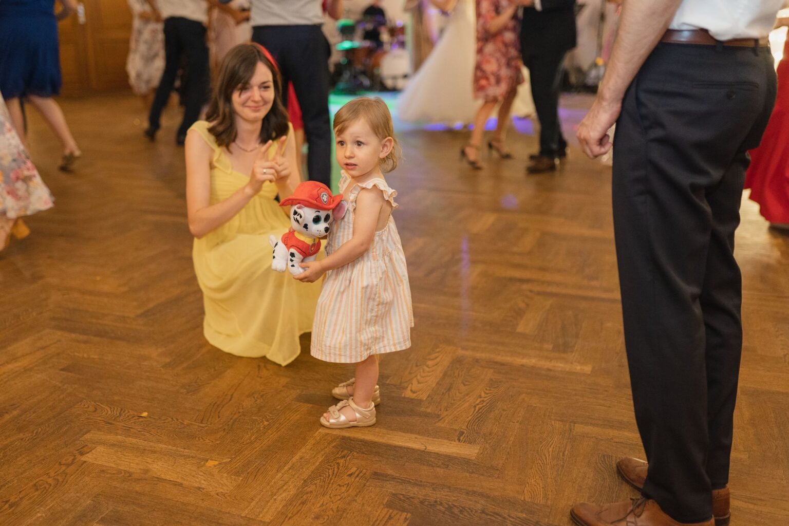 Stara cynkownia Czechowice (52) Dworek stara cynkownia Czechowice-Dziedzice