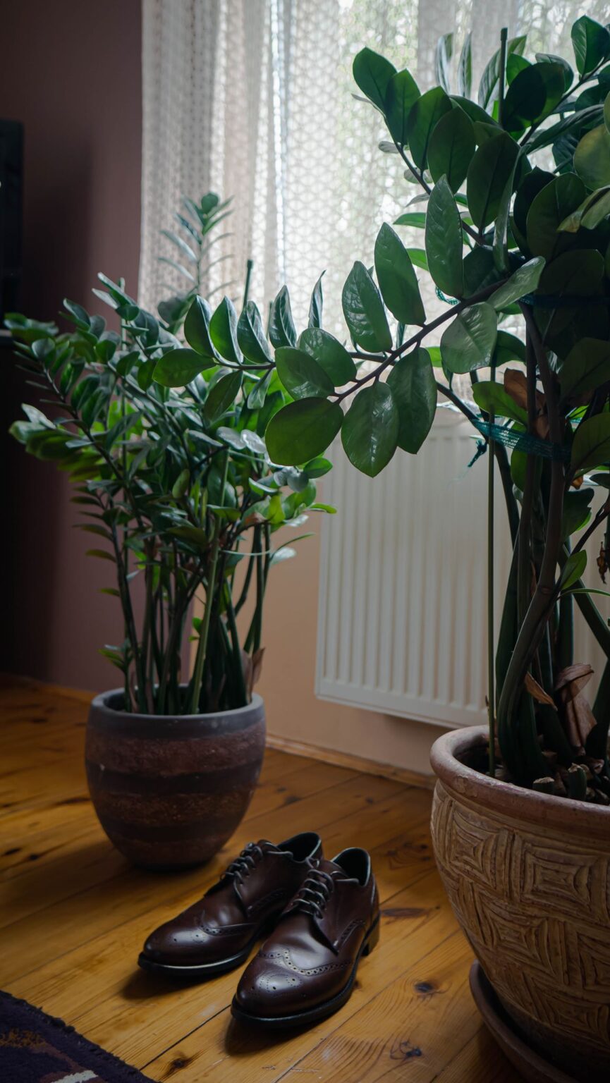 Stara cynkownia Czechowice (72) Fotografia ślubna Czechowice